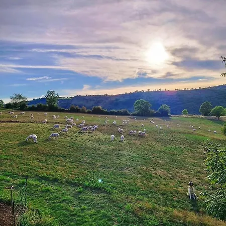 Tiny Mirador A La Ferme シャレー *