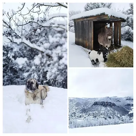 Tiny Mirador A La Ferme *