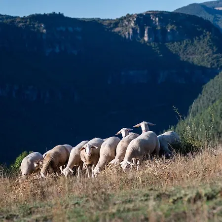 Tiny Mirador A La Ferme * Treves